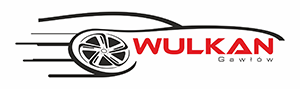 Logo Stacji Kontroli Pojazdów